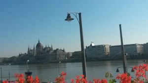 20160824_085038_resized