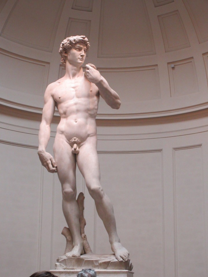 Michelangelo's David Florence