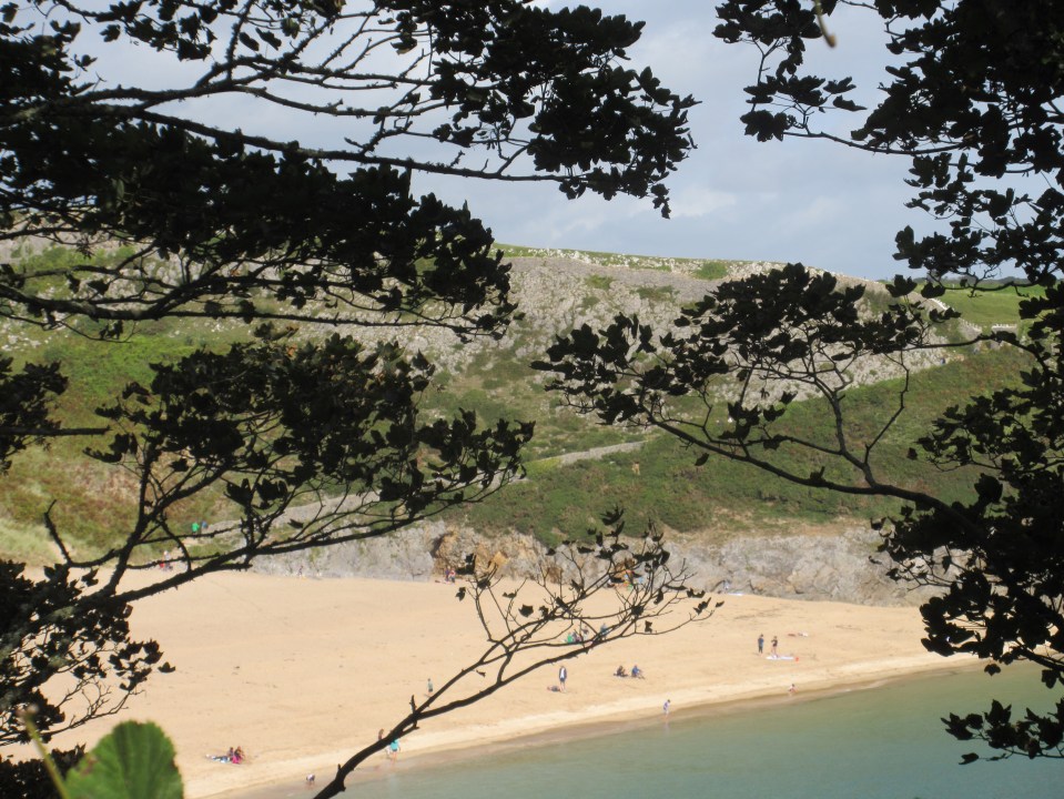 Barafundle Bay