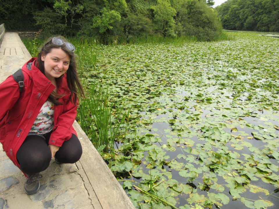 Bosherton Lily Ponds