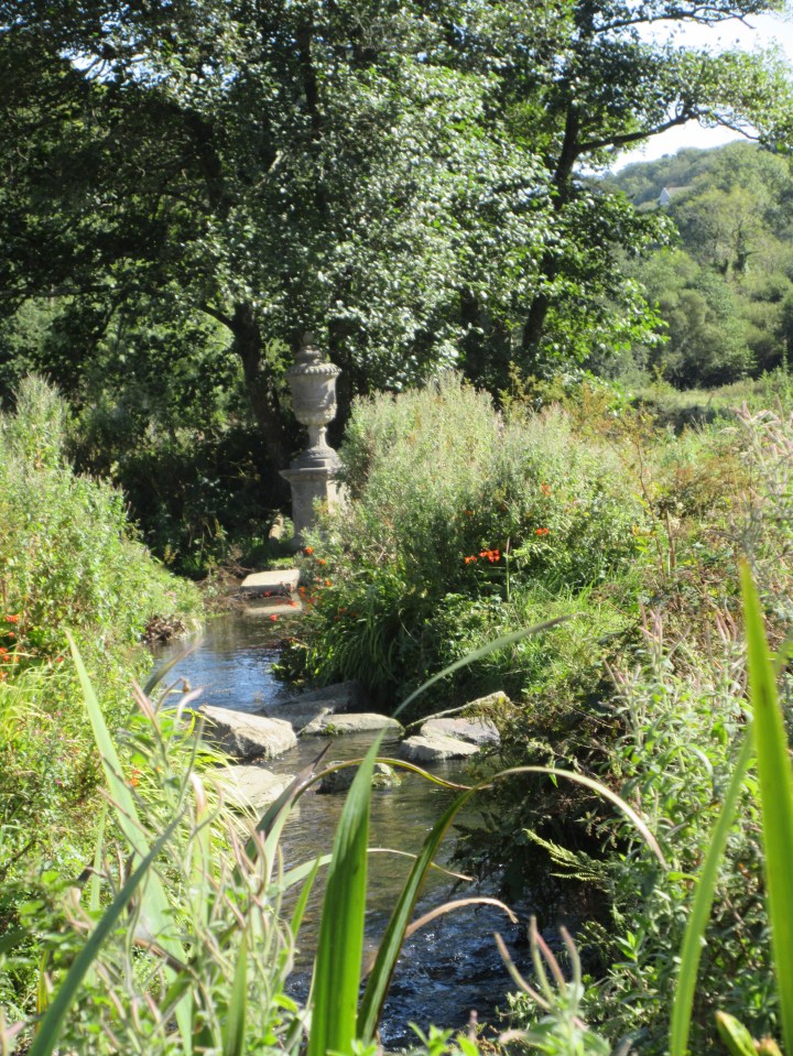 Colby Woodland Stream