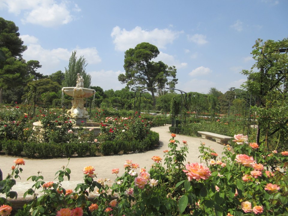 fountain retiro park rosaleda