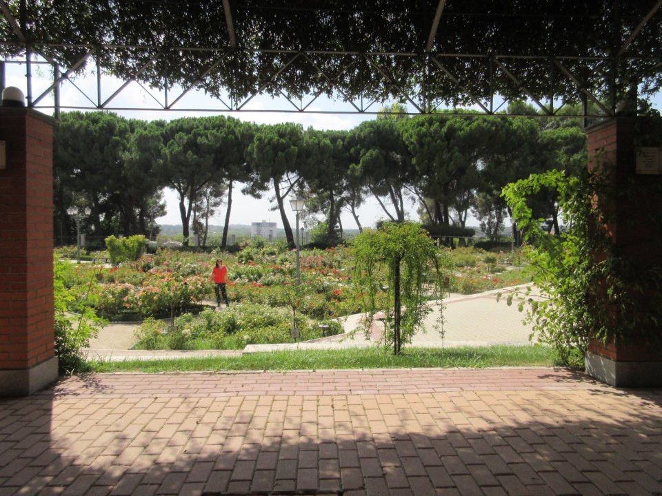 Me at Oeste Park, Madrid