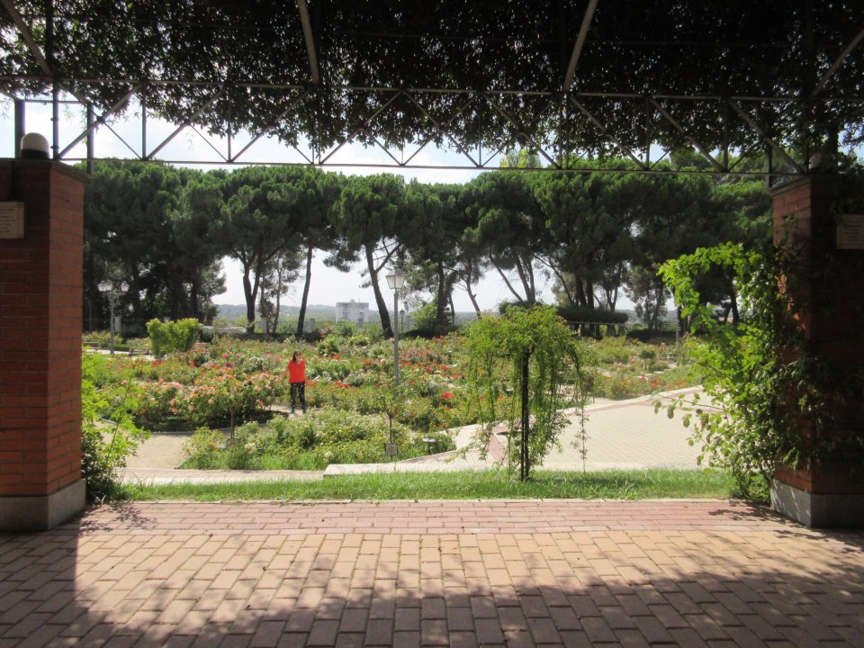 Me at Oeste Park, Madrid