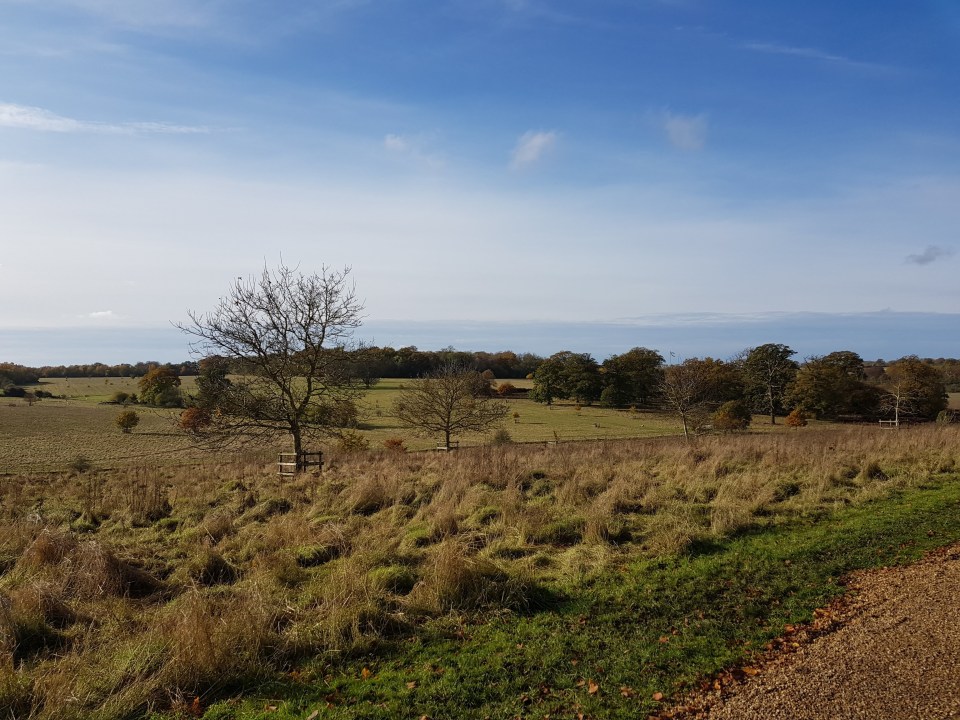 Ickworth estate Bury St Edmunds