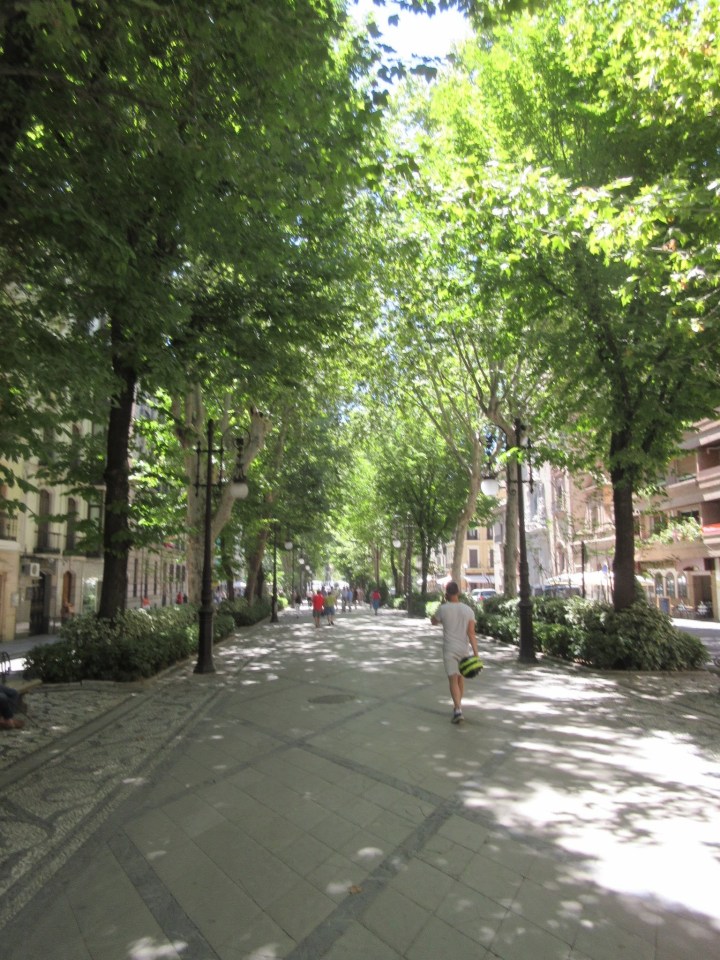 granada pedestrian street