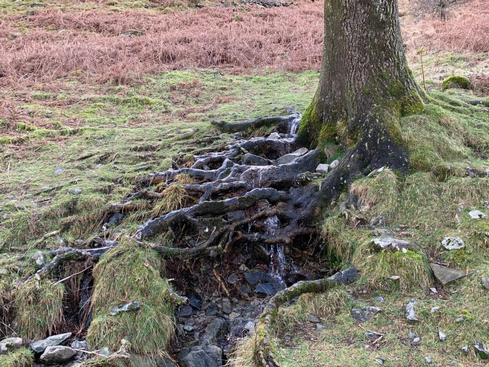 stream on Loughrigg Fell, Lake District