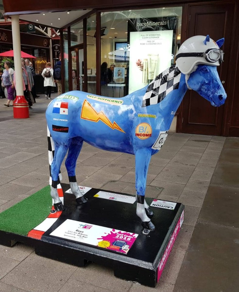 Racehorse trail Newmarket