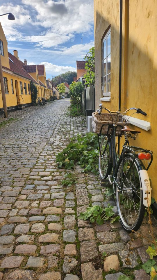 Denmark village